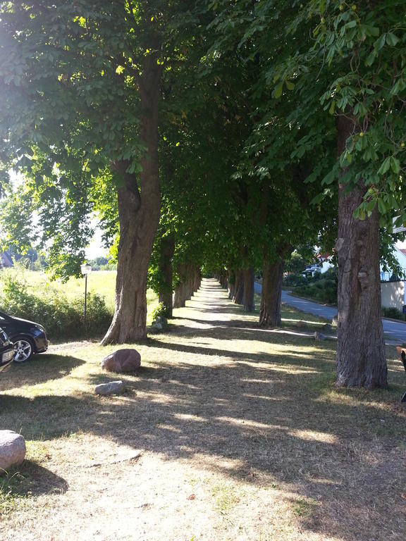Schaeferkate Sierksdorf Apartment Bagian luar foto